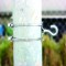 Band Lock